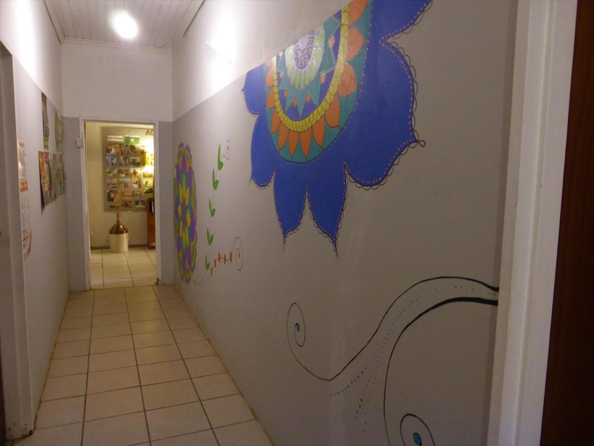Orange Elephant Backpackers Hostel อัดโด ภายนอก รูปภาพ
